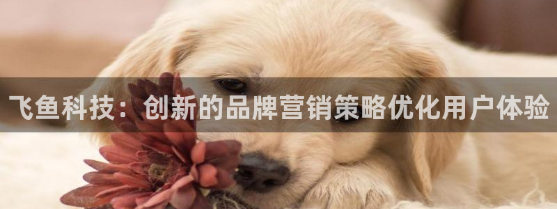 金年会赌博app平台可靠吗安全吗