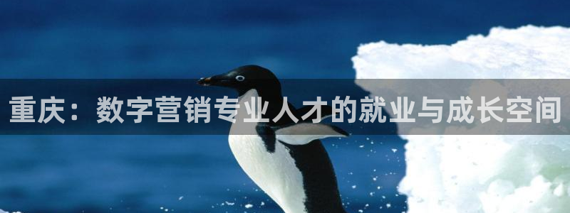 金年会体育官方