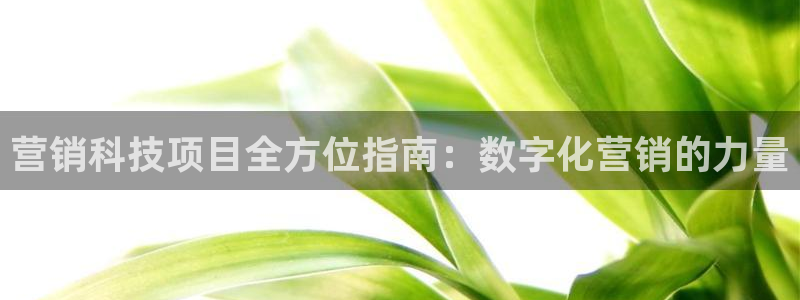 金年会体育出款审核七天