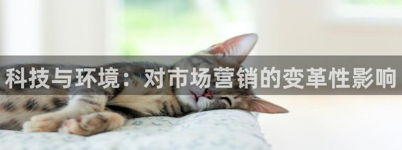 金年会体育app最新官网下载
