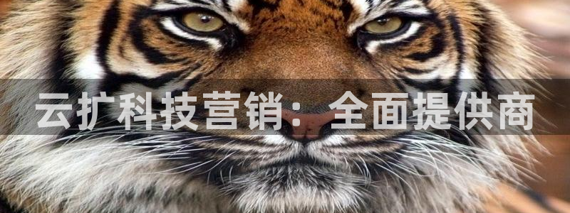 金年会下载哪个买球赛