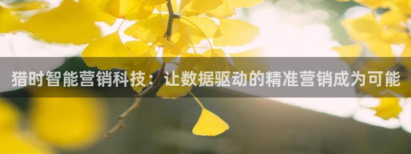 金年会app是不是钓鱼软件