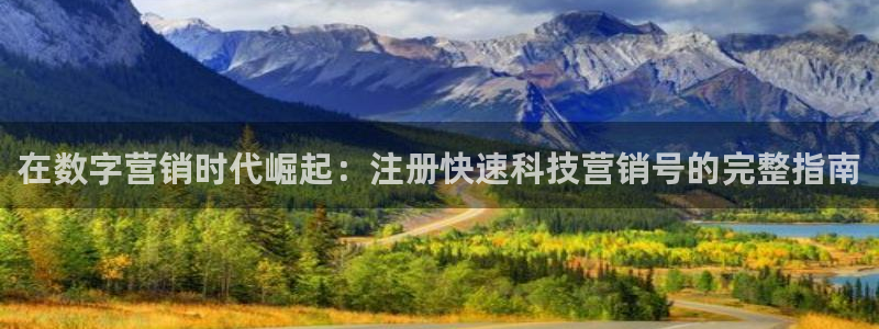 金年会体育网站