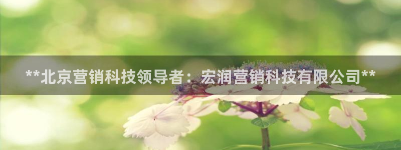 金年会体育APP官方网站
