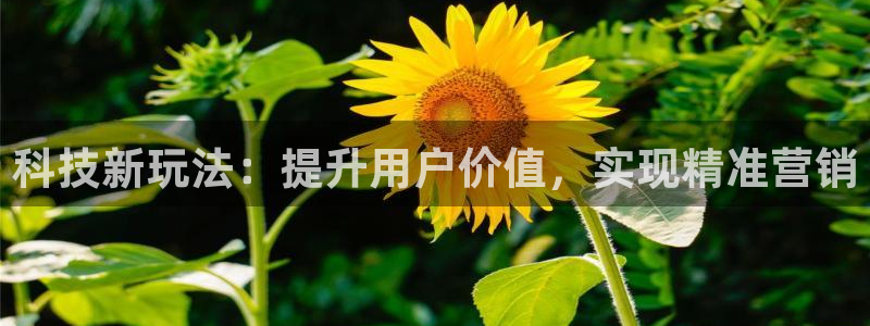 金年会体育app平台怎么样可靠吗