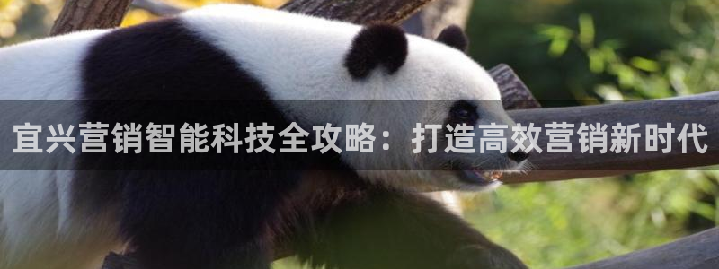 金年会app下载官网登录