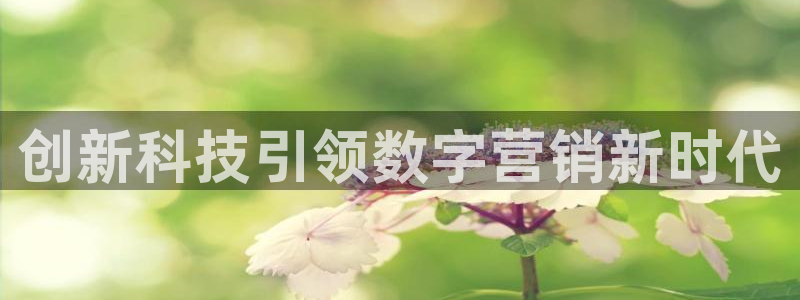 金年会官方入口网站下载