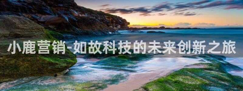 金年会金字招牌荣誉至上