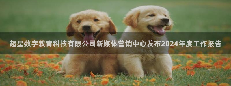金年会在线入口登录
