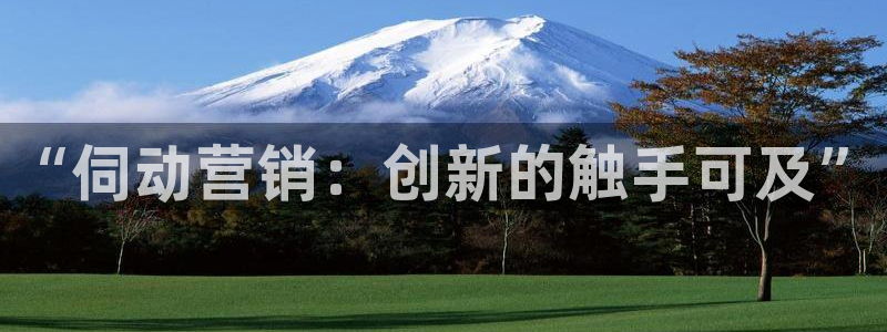 金年会官方入口登录网站