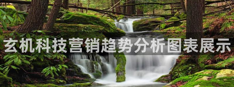 金年会官方网站入口登录网址