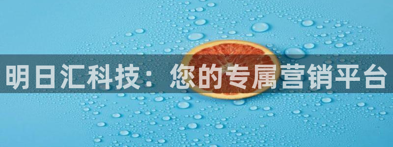 金年会网页版在线登录官网