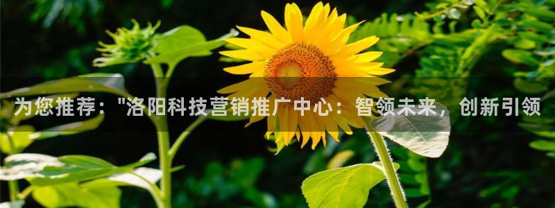 金年会App是不是钓鱼软件