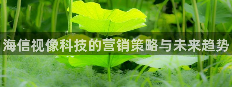 金年会官方在线入口网址