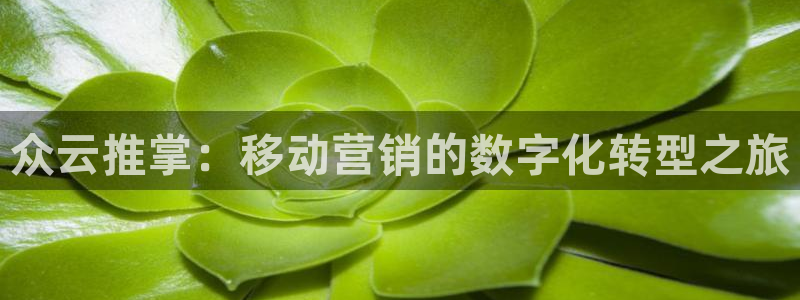 金年会体育怎么样