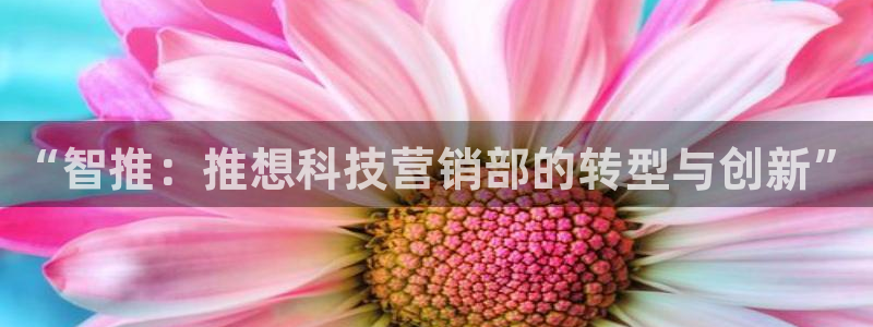 金年会平台官网下载