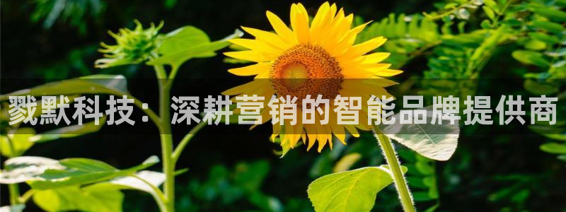 金年会pg麻将胡了几张牌