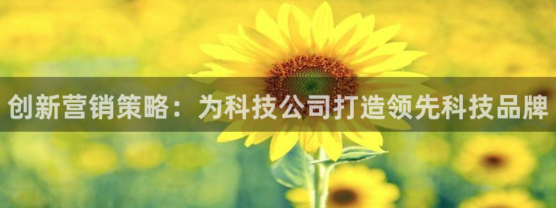 金年会官方入口APP