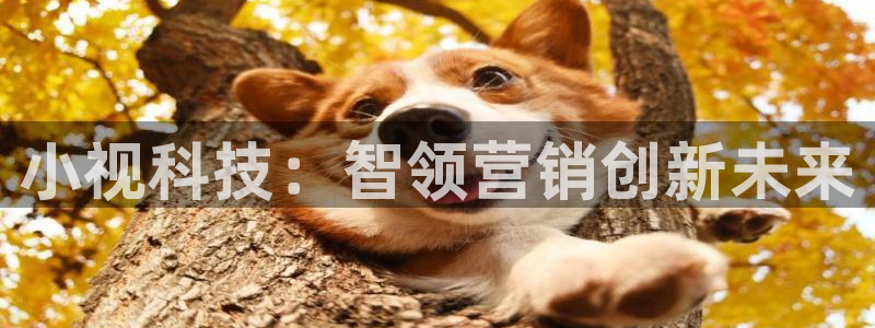 金年会pp电子