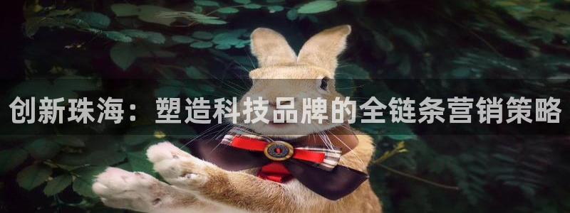 金年会网站提现一直显示审核当中怎么办