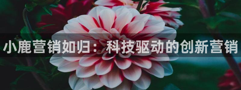 金年会官方在线登录网址是多少