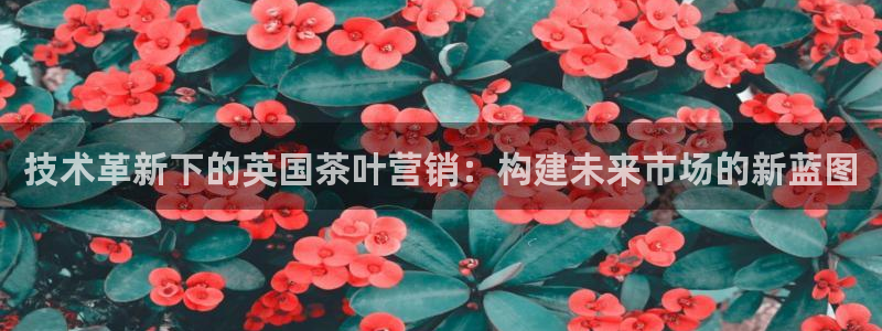 金年会官方app下载官网