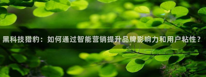 金年会电子游戏app官方入口网站