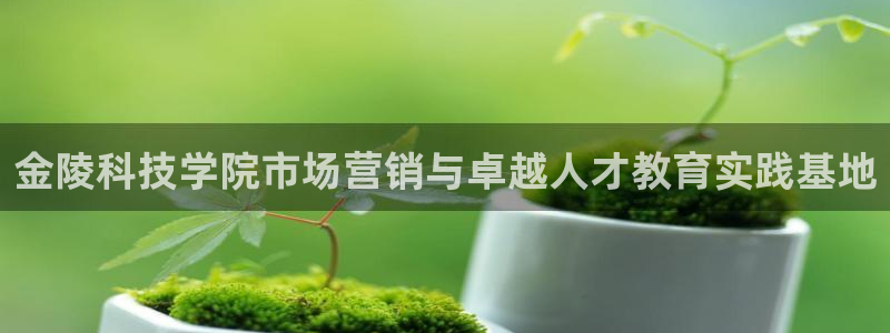 金年会官方入口首页网站