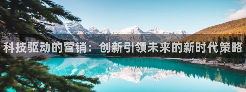 金年会官方入口APP