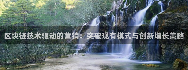 金年会体育app