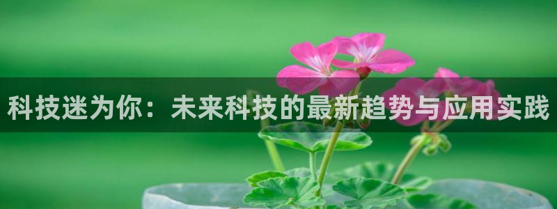 金年会体育竞彩app