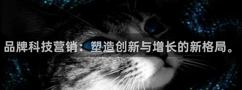 金年会app官方网站是什么