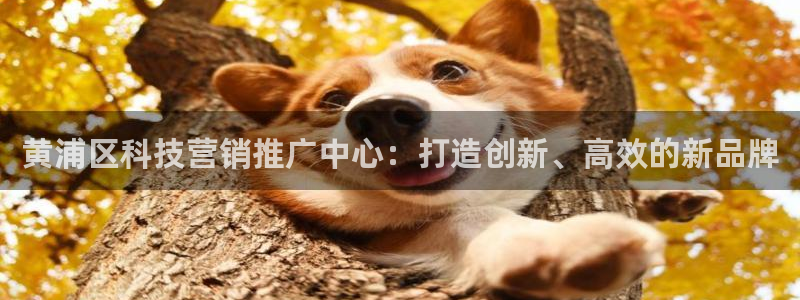 金年会官方入口首页网站下载