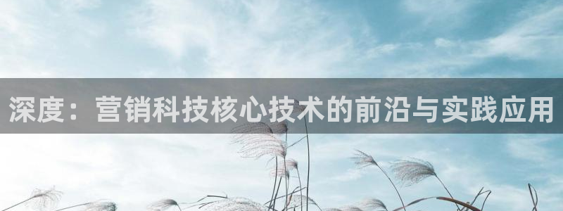 金年会赌博是诈骗吗