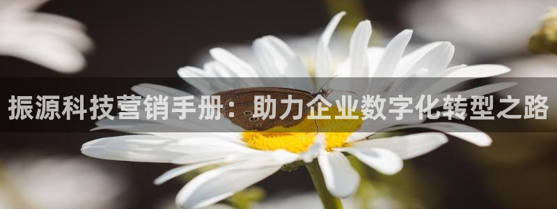 金年会手机网页版下载