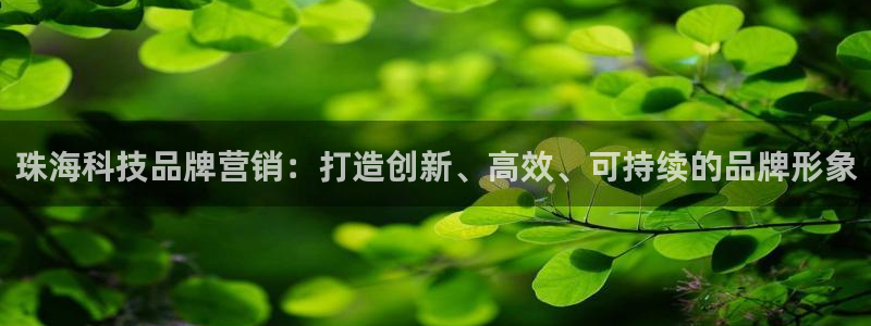 金年会金字招牌诚信至上龙年