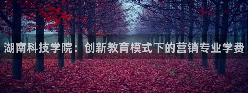 金年会在线入口2023