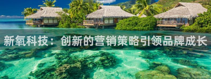 金年会体育苹果下载app