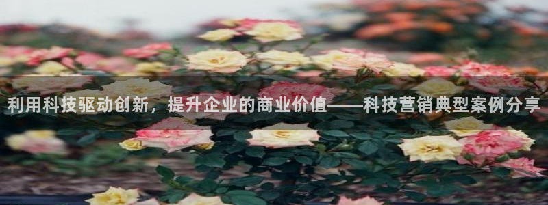 金年会体育app最新官网