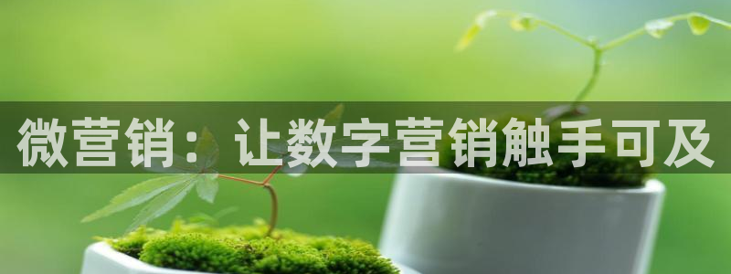 今年会金年会