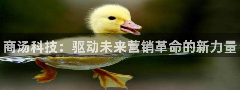 金年会平台官网登录