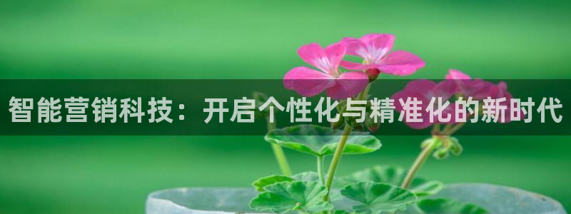 金年会官方网站入口登录手机版下载