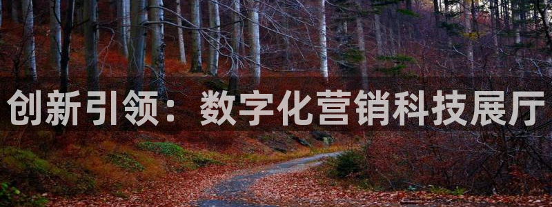 金年会能赢吗：创新引