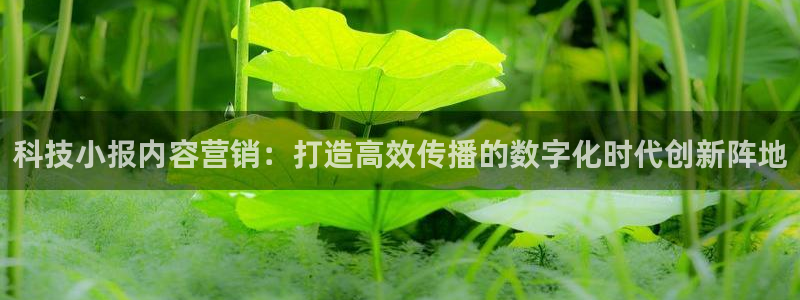 金年会平台官网下载