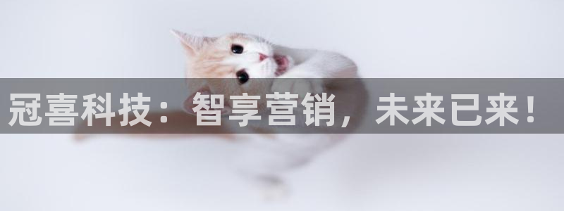 金年会体育注册地