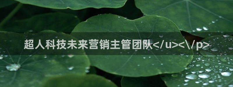 金年会官方在线入口网址