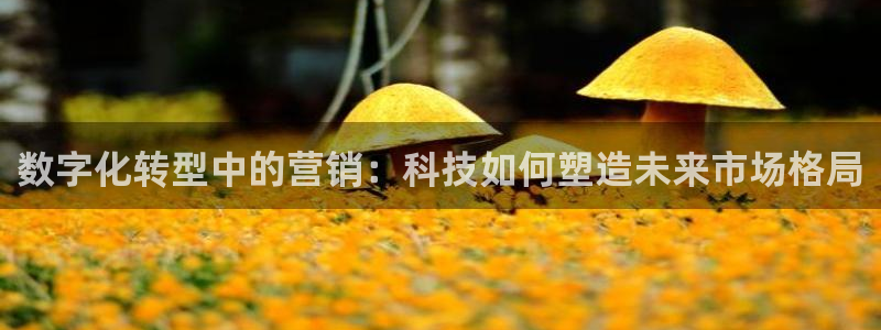 金年会官方登录入口手机版下载