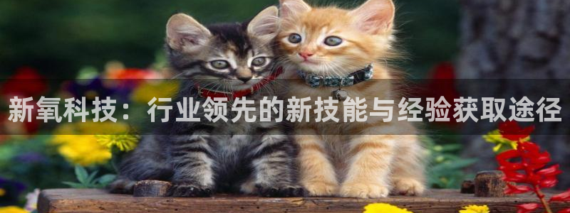 金年会官方在线登录网址是多少啊