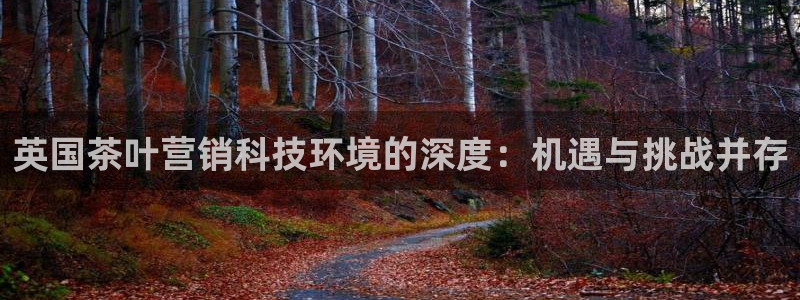 金年会网登录平台入口金年会