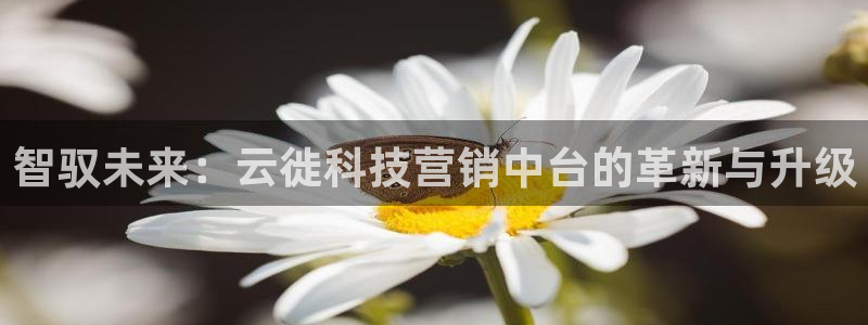 金年会体育网页登录